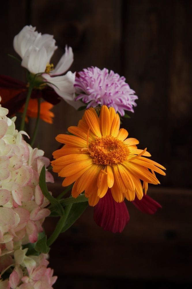 Photograph by Татьяна Зверева