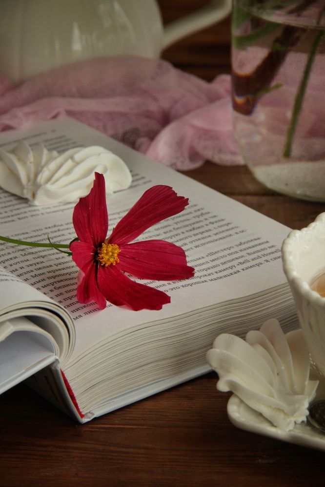 Photograph by Татьяна Зверева