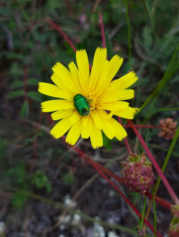 Photograph by Галина Глазкова