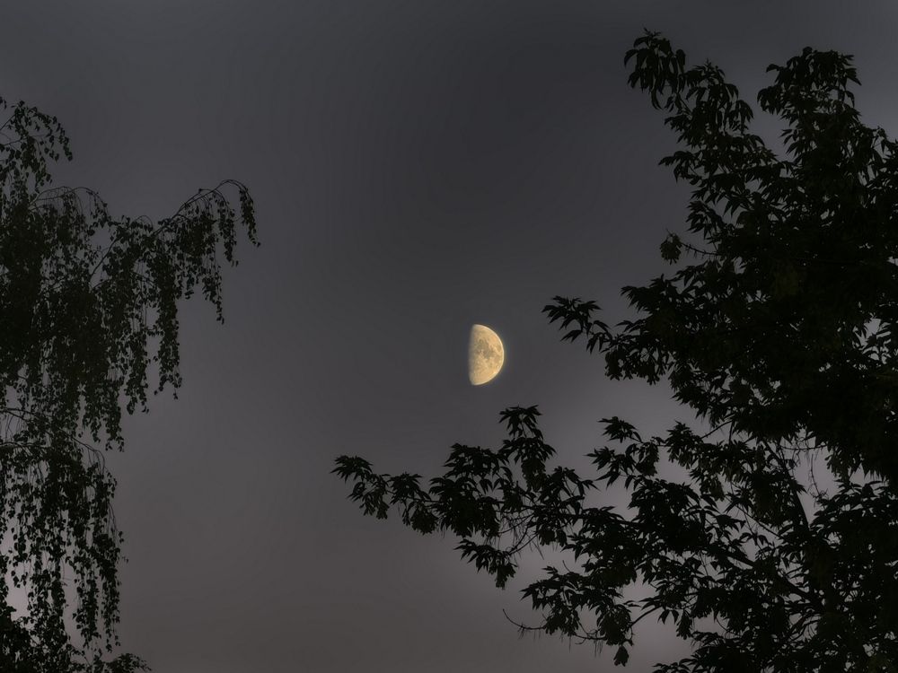 Photograph by Татьяна Краева