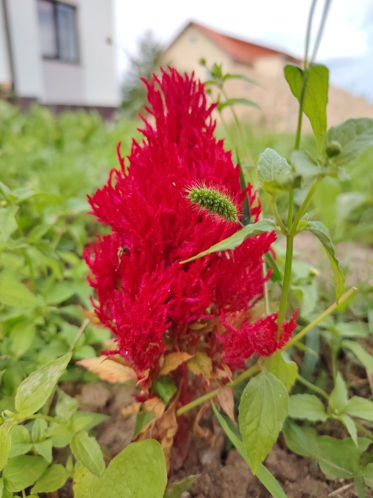 Фотография автора Мария