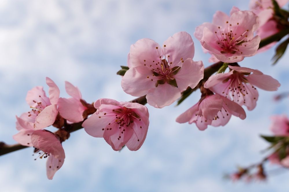 Photograph by Зорин Миша