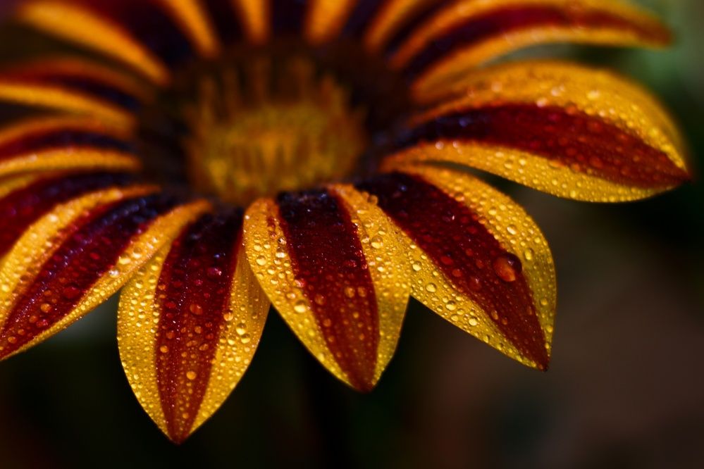 Photograph by Michelle Hart