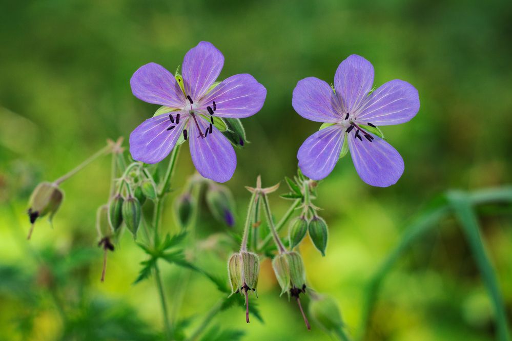 Photograph by Елена Фатьянова