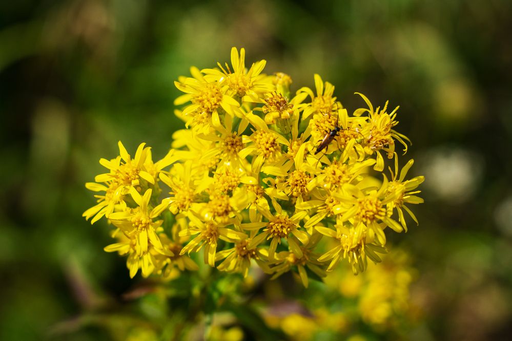 Photograph by Елена Фатьянова