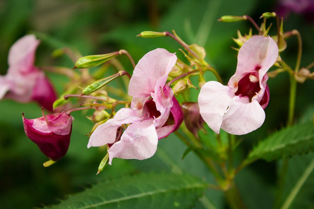 Photograph by Елена Фатьянова