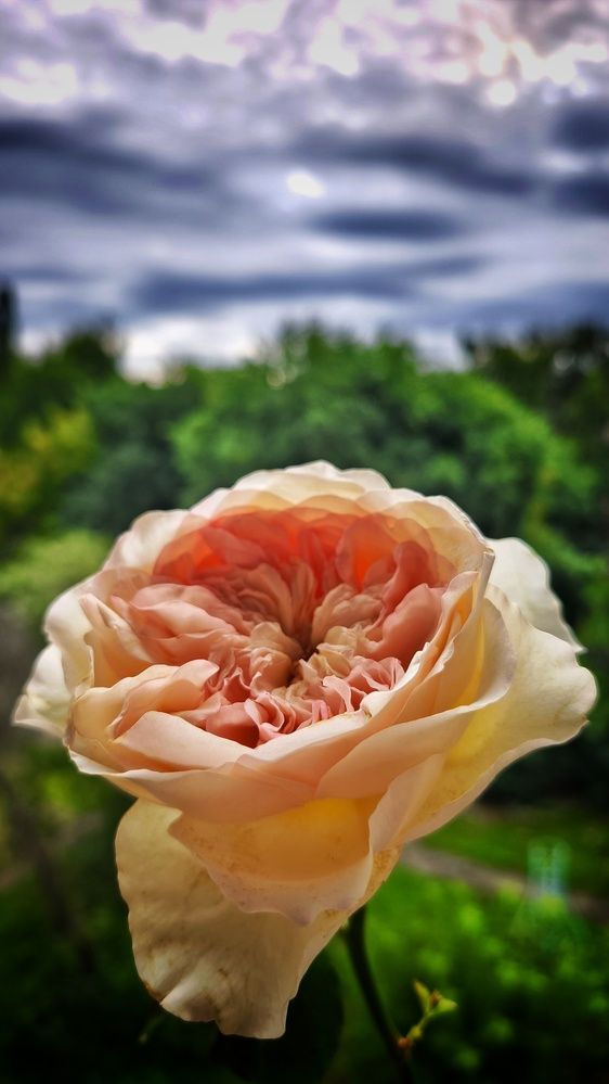 Photograph by Наталья Рау