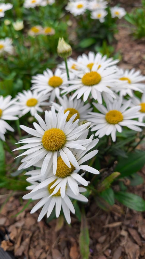 Photograph by Наталья Рау