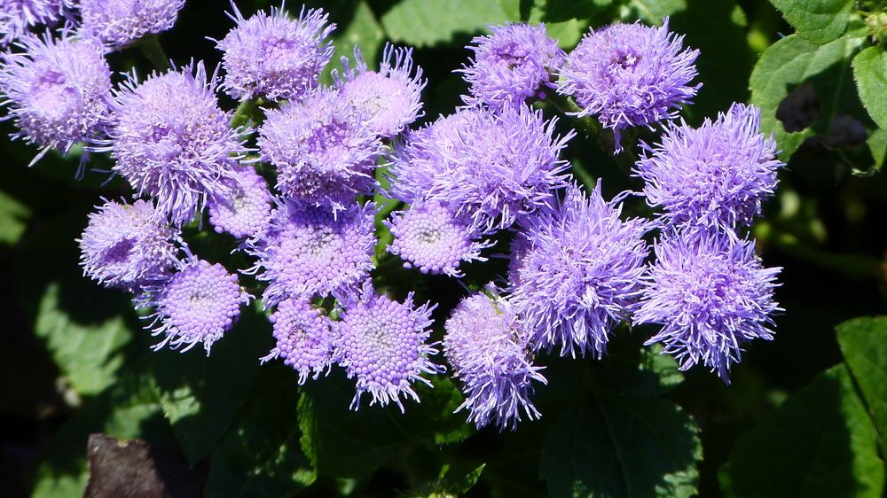 Photograph by Максим Владимирович