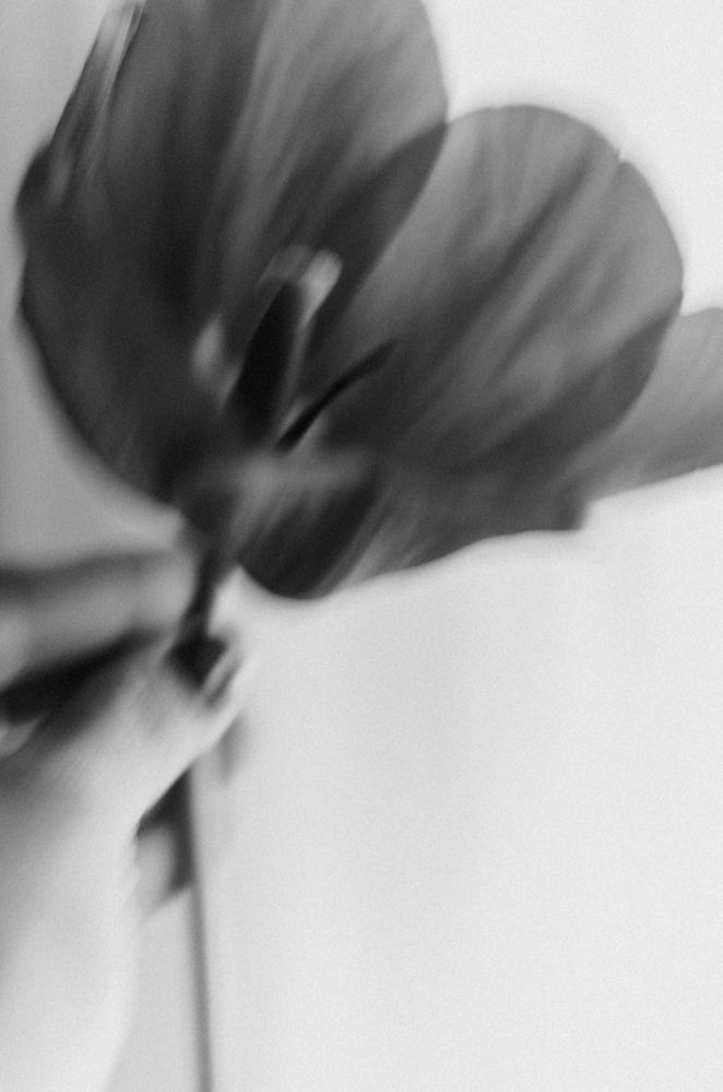 Photograph by Людмила Ящишина