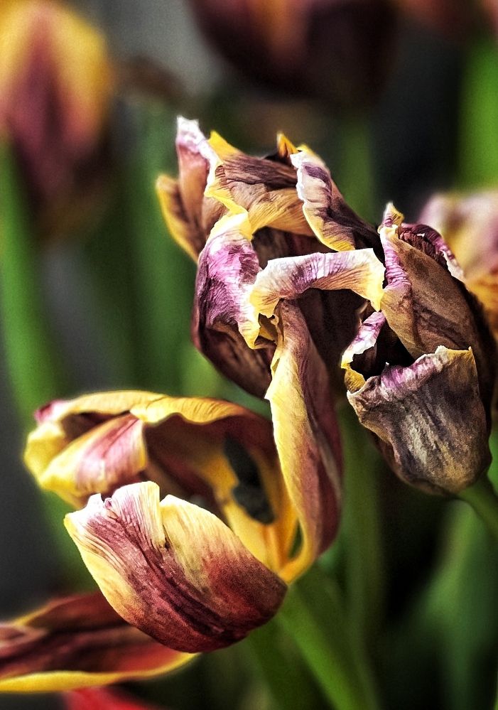 Photograph by Светлана Моисеева