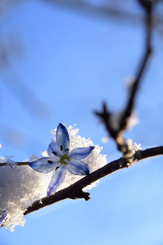 Photograph by Ольга Рыкова