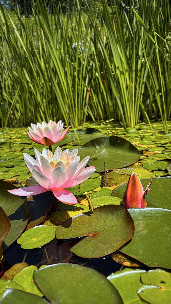 Photograph by Вадим Карпов