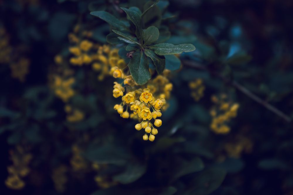 Photograph by Анастасия Пионтек