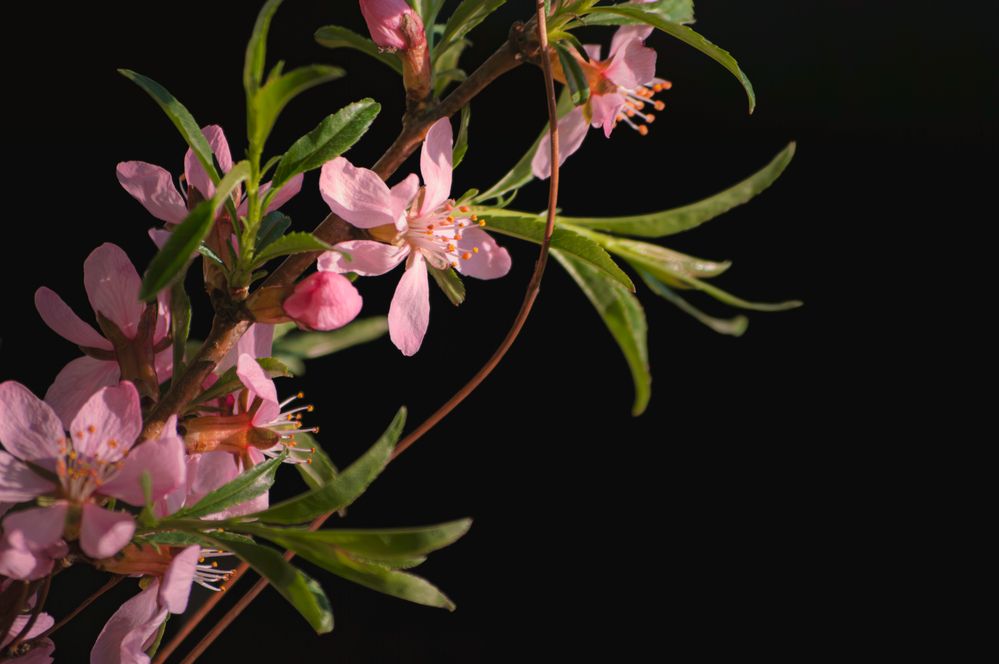 Photograph by Анастасия Пионтек