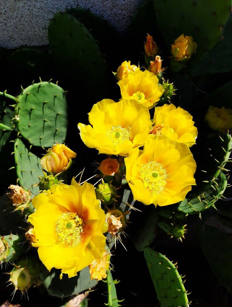 Photograph by Галина Глазкова