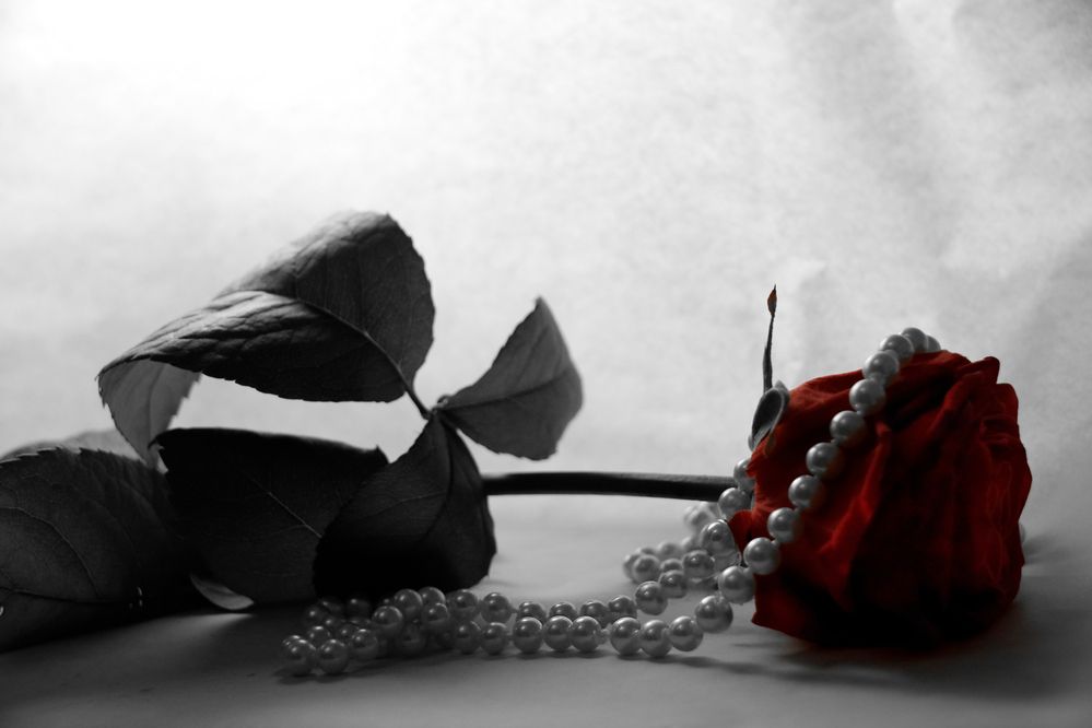 Photograph by Ольга Рыкова