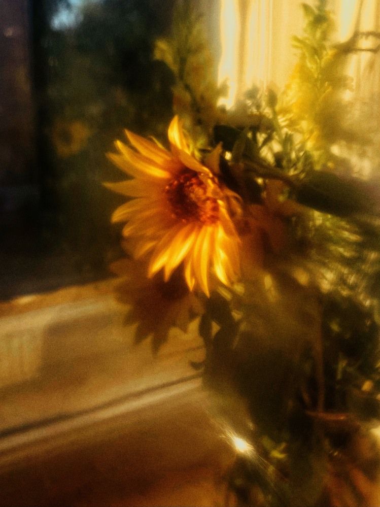 Photograph by Мария Карпычева