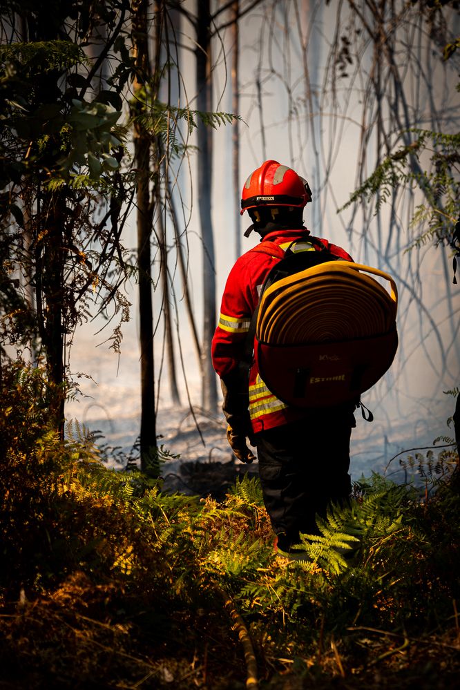 Photograph by João Versos Roldão