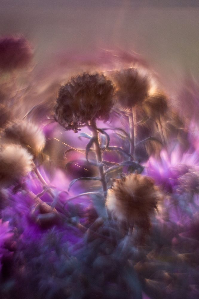 Фотография автора Максим Светличный