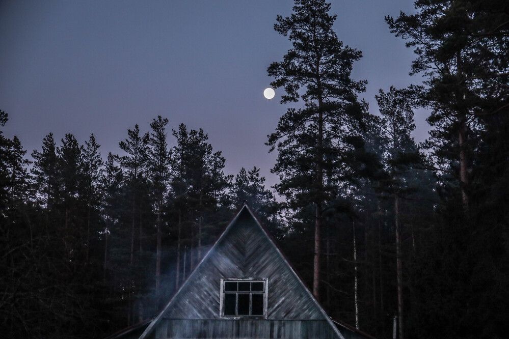 Photograph by Ирина Толстых