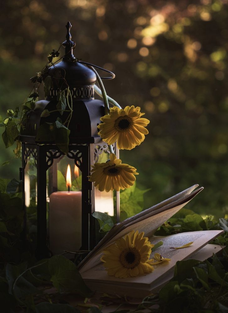 The quiet embrace of sunrise