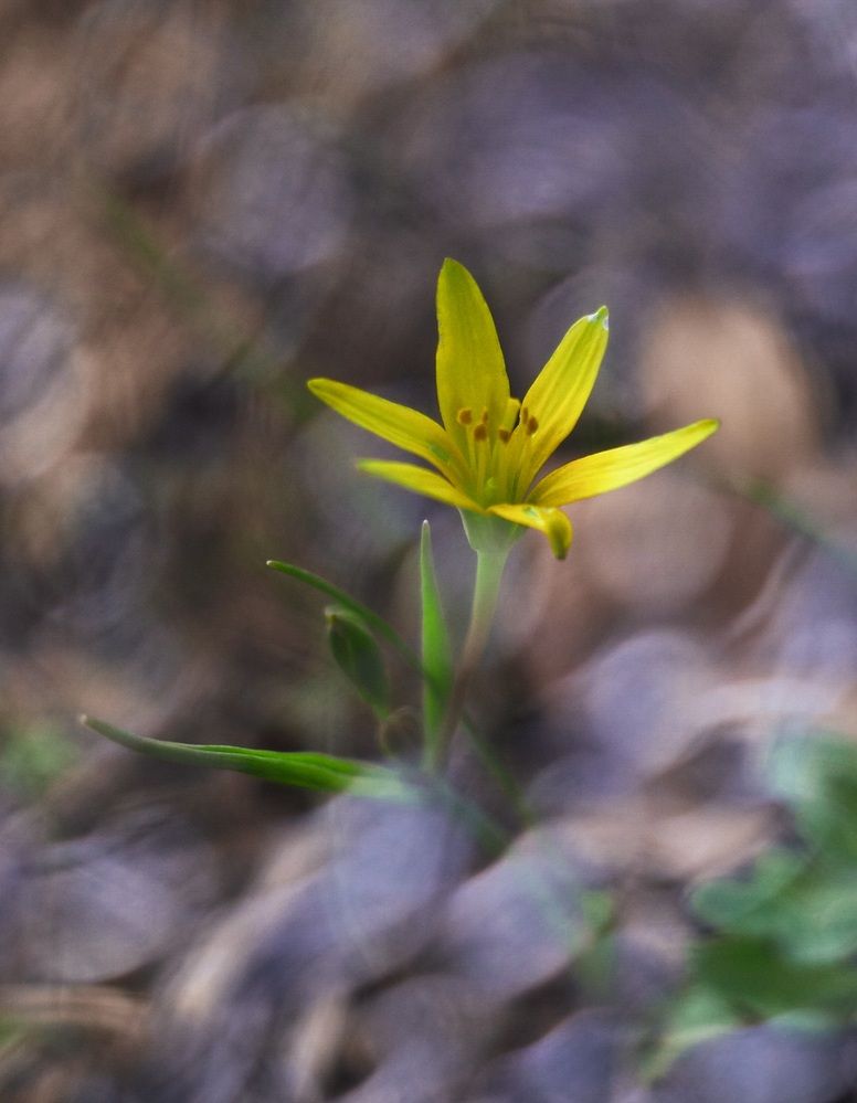 Photograph by Алла Никушкина