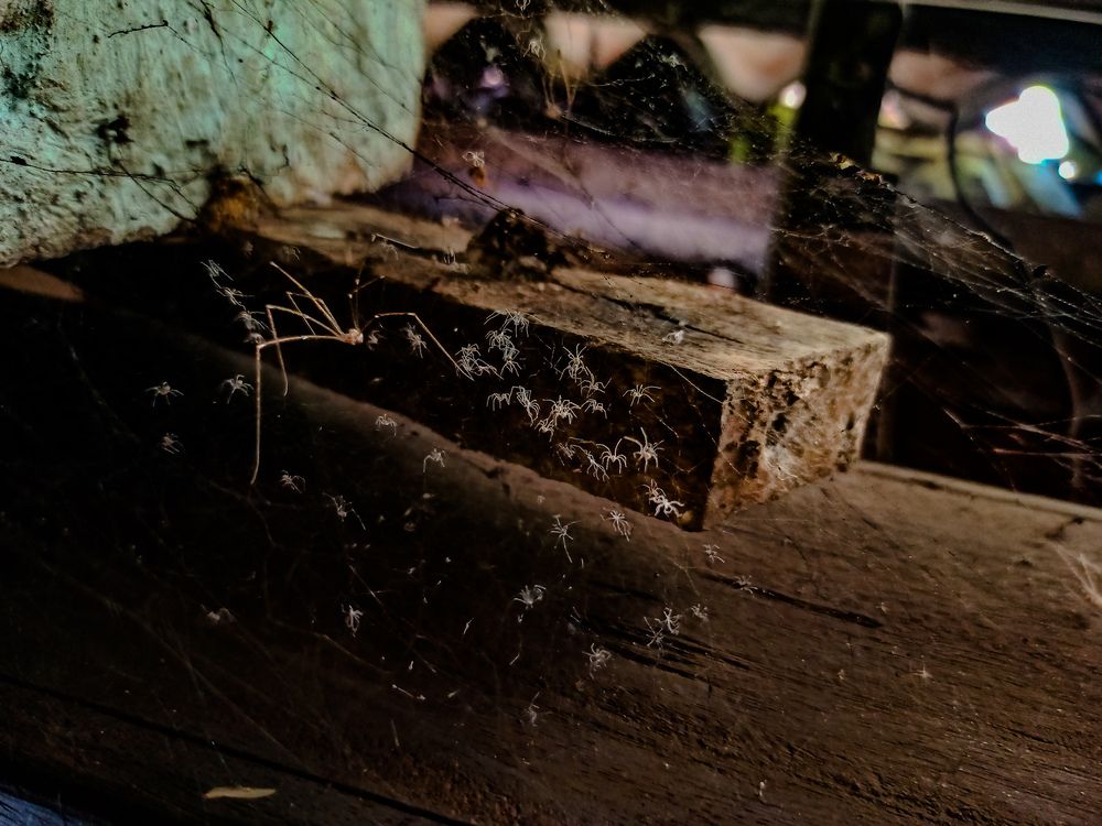 Photograph by SHRIYAKSHI