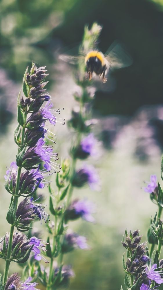 Photograph by Елена Кадаева