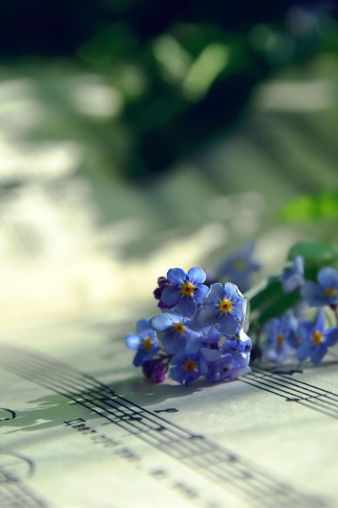 Photograph by Ольга Рыкова