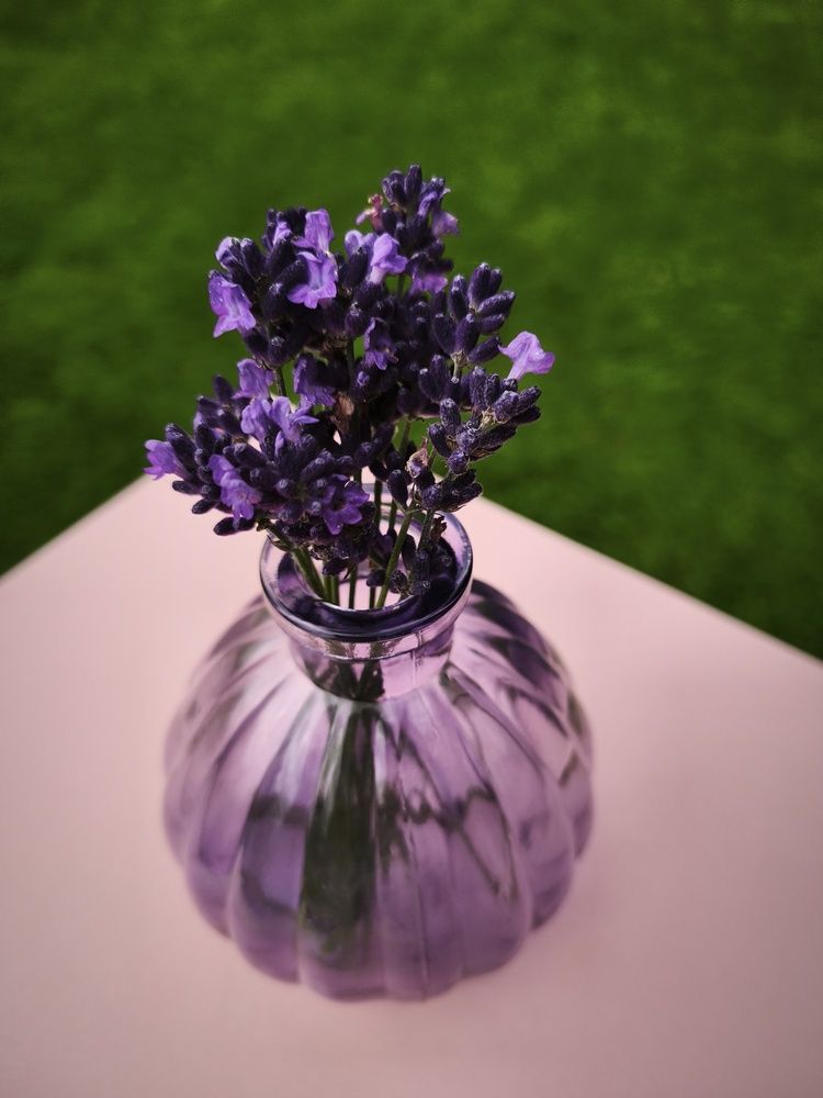 Фотография автора Татьяна Алексеева