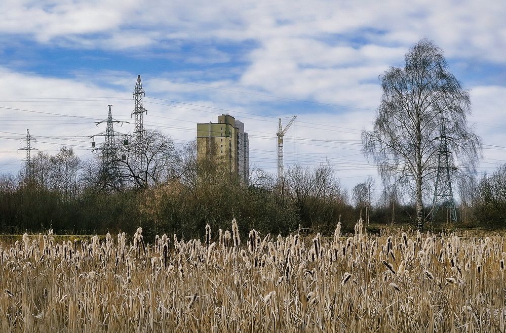 Фотография автора Е лена Е