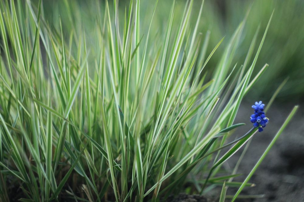 Photograph by Антон Иванов