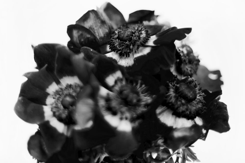 Photograph by Наталия Голованова