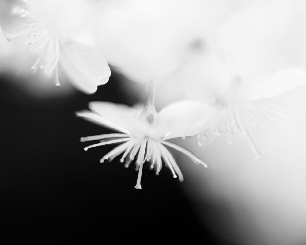 Photograph by Наталия Голованова