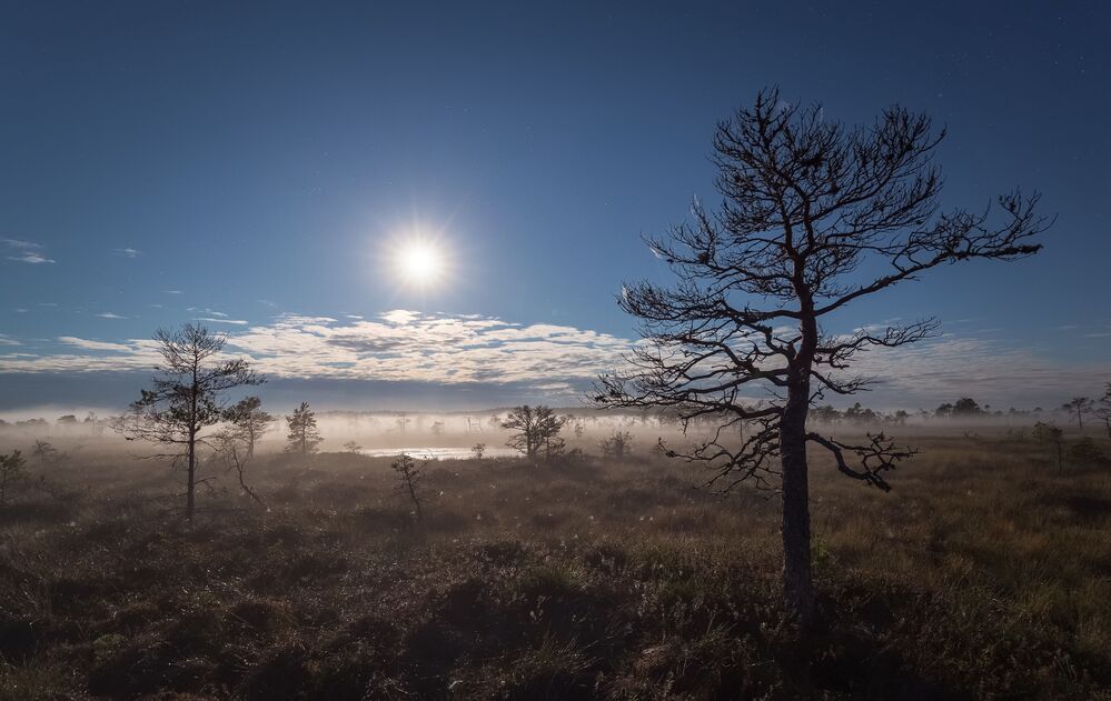 Photograph by Antson Elvis