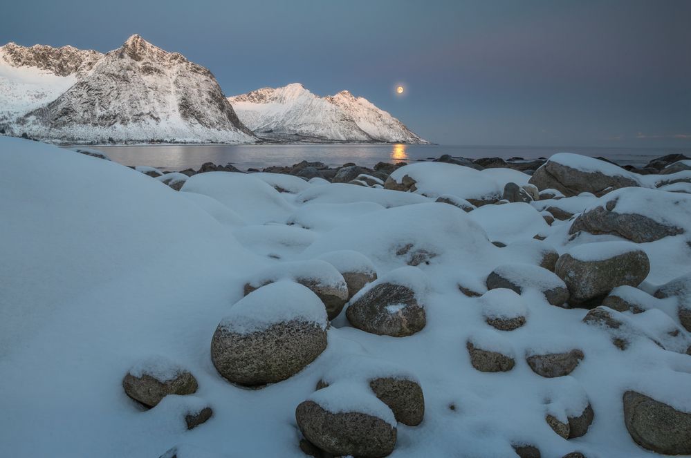 Photograph by ABHISHEK DEY