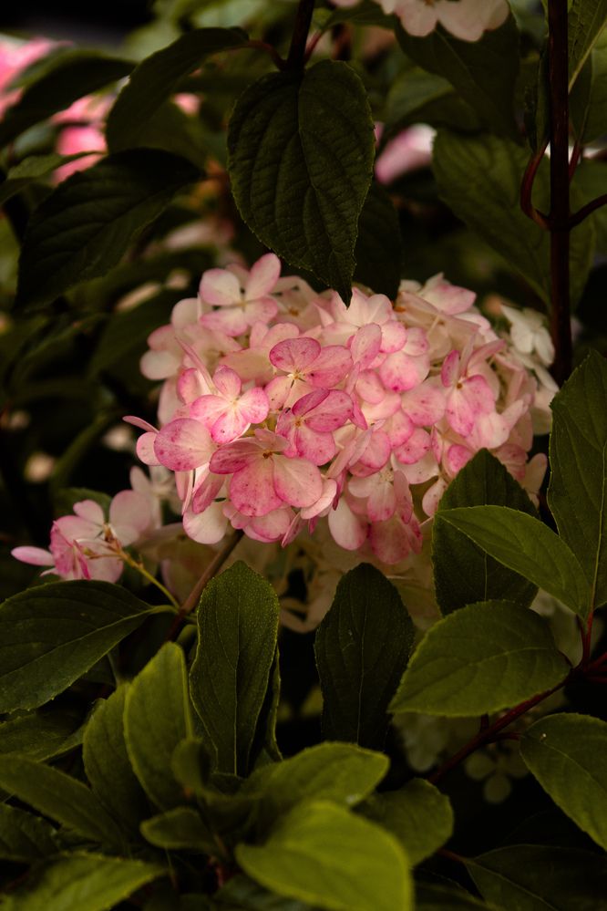 Photograph by Анастасия Игнатьева