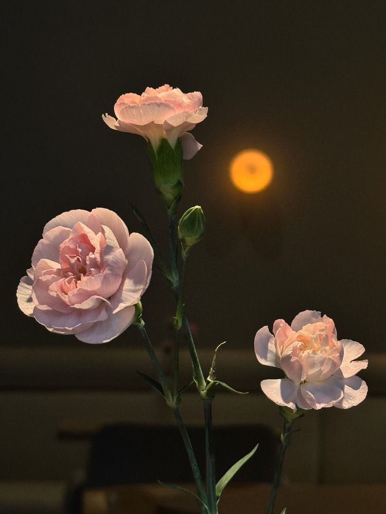 Photograph by Ксения Юртаева