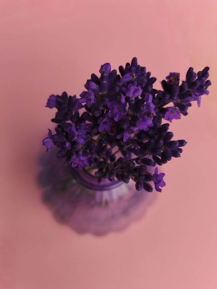 Фотография автора Татьяна Алексеева