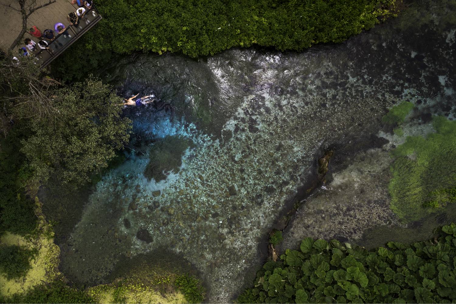 Фотография #12482140