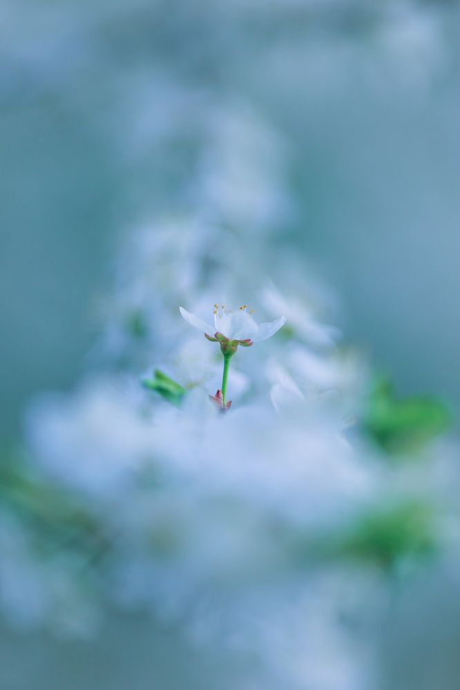 Photograph by Natalia Antipas