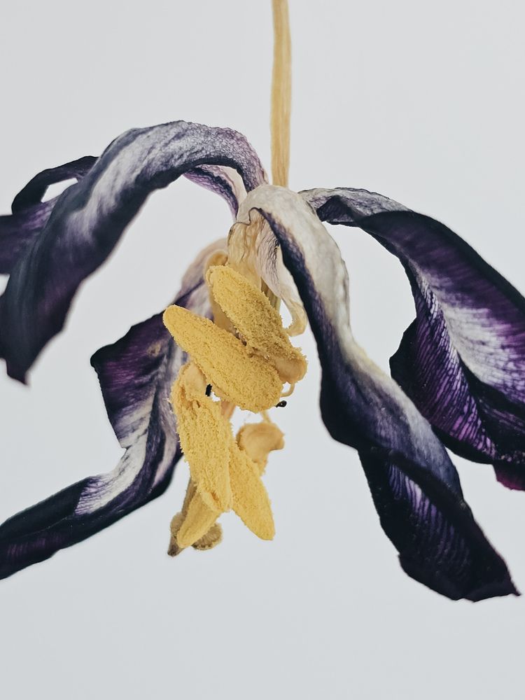 Фотография автора Ольга Шишук