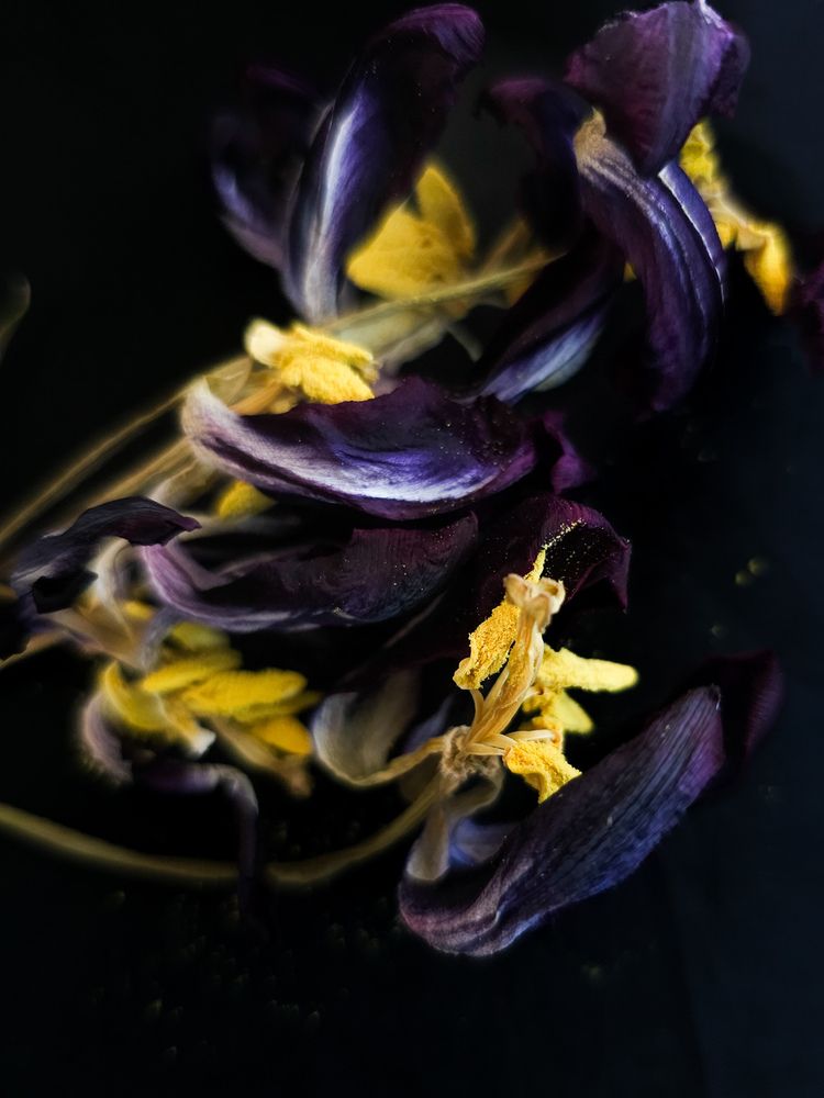 Фотография автора Ольга Шишук