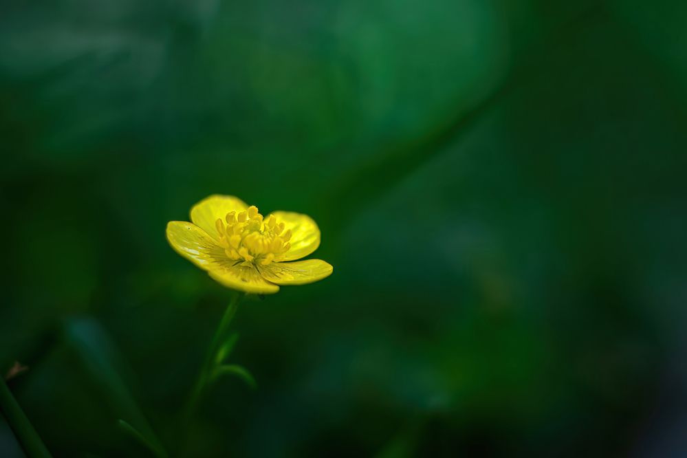 Photograph by Mahdi Reihani Bozorg