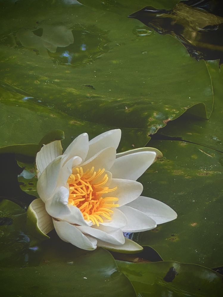 Photograph by Ксения Юртаева