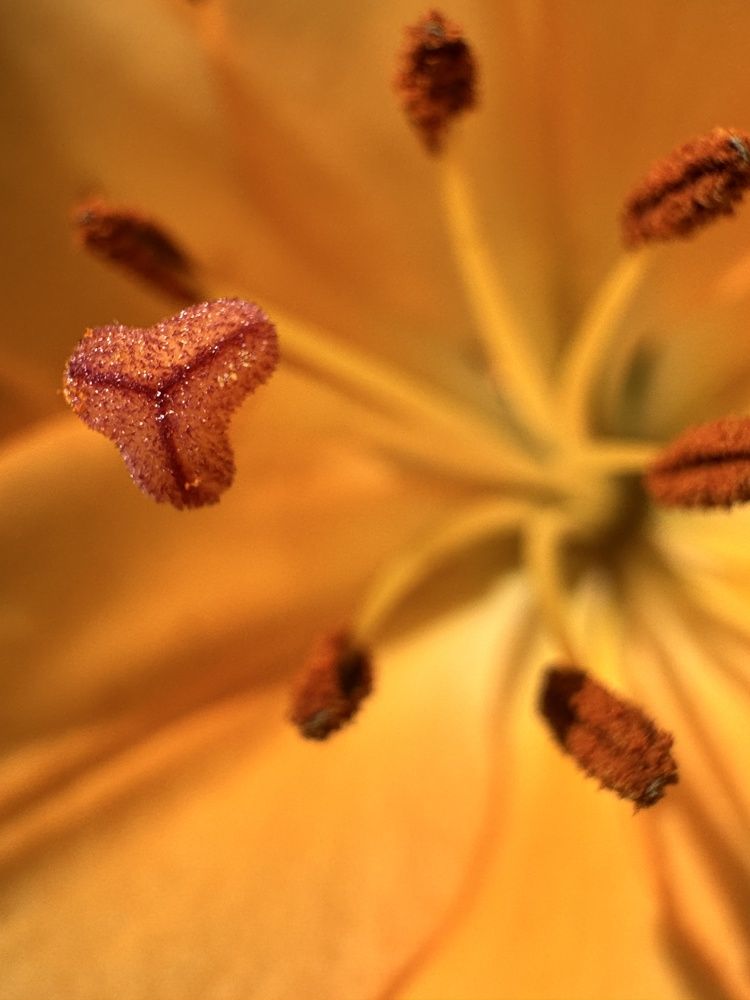 Photograph by Ксения Юртаева