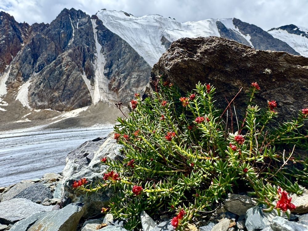 Photograph by Ксения Юртаева