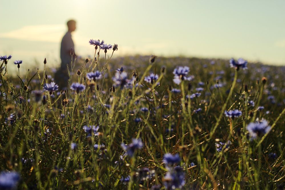 Фотография автора Ольга Шишук