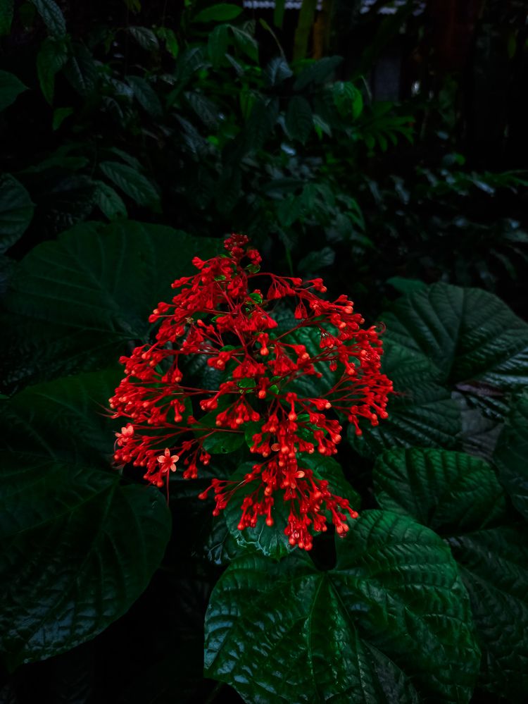 Photograph by SHRIYAKSHI